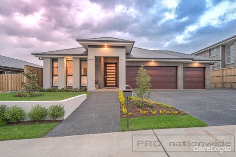 Property photo of 31 Harvest Boulevard Chisholm NSW 2322