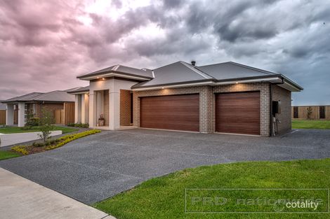 Property photo of 31 Harvest Boulevard Chisholm NSW 2322