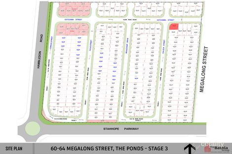 Property photo of 55 Calleja Street The Ponds NSW 2769