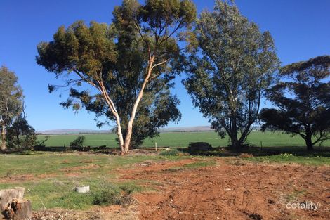 Property photo of 43 Behennas Track Koolunga SA 5464