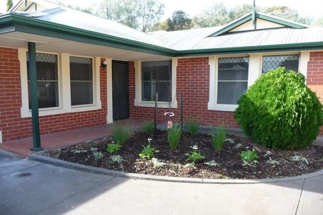 3/11 Trellios St, Modbury, SA 5092