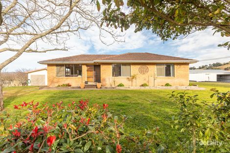 Property photo of 269 Daisy Hill Road Buckajo NSW 2550