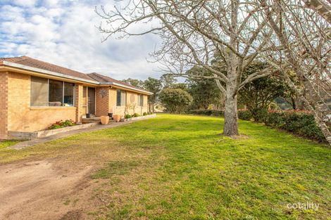 Property photo of 269 Daisy Hill Road Buckajo NSW 2550