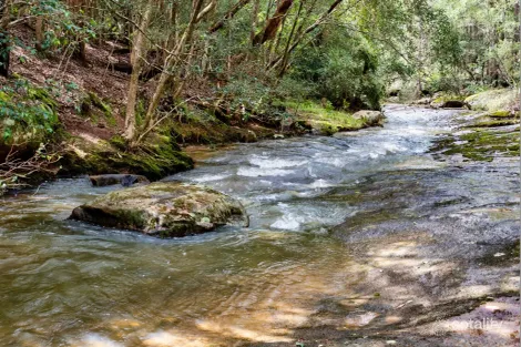 194 Bendeela Rd, Kangaroo Valley, NSW 2577