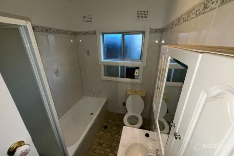 Property photo of 3 Aster Avenue Punchbowl NSW 2196