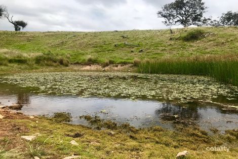 1018 Campbells Creek Rd, Windeyer, NSW 2850