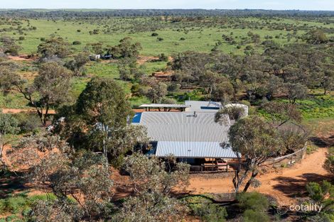 320 RAWNSLEY RD, LOVEDAY, SA 5345