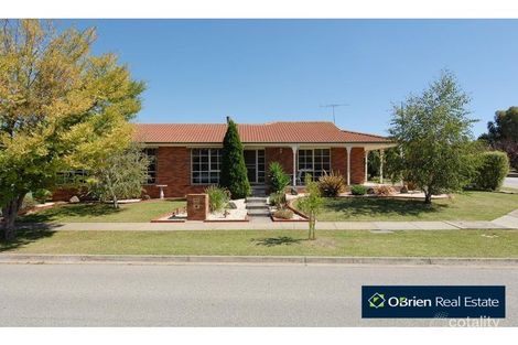 125 Kurrajong Rd, Narre Warren, VIC 3805