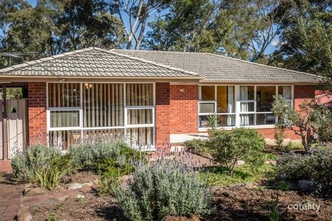 Property photo of 19 South Boulevard Tea Tree Gully SA 5091