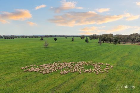 679 Bellarwi Rd, West Wyalong, NSW 2671