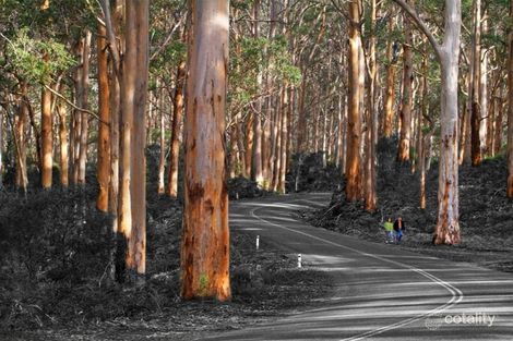 Property photo of 68 McDowell Road Witchcliffe WA 6286