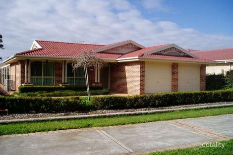 43 Edwards Ave, Thornton, NSW 2322