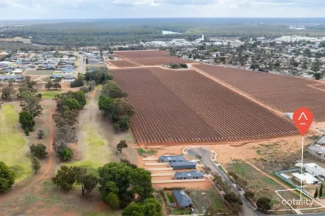 228 Latje Rd, Robinvale, VIC 3549