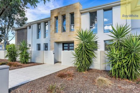 Property photo of 12 Sallis Avenue Tranmere SA 5073