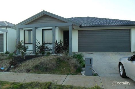 16 Harwood Ct, Burnside Heights, VIC 3023