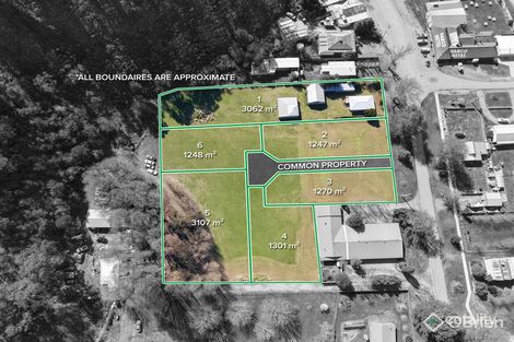105 Lind Ave, Dargo, VIC 3862