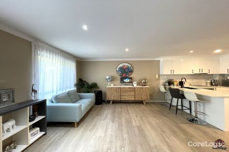 Property photo of 8/3 Elliott Street Surfers Paradise QLD 4217