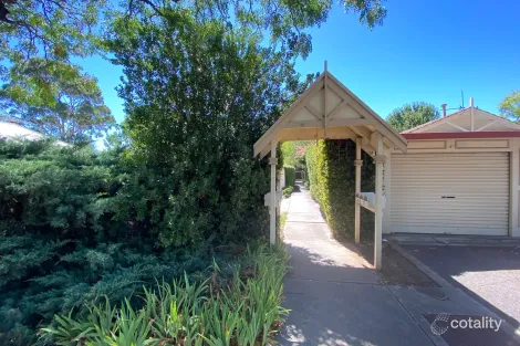 Property photo of 6/11 Bevington Road Glenunga SA 5064
