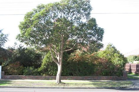 60 Dorking Rd, Box Hill, VIC 3128