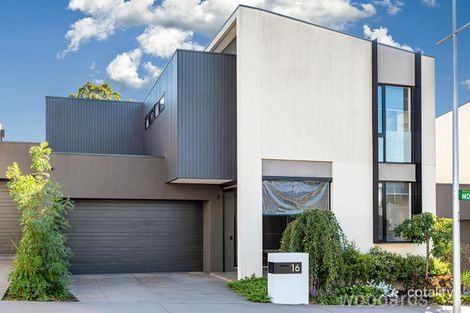 16 Ellsworth Cres, Camberwell, VIC 3124