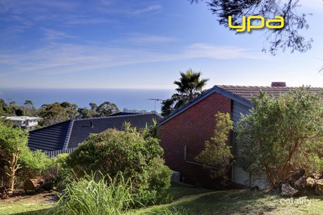 Property photo of 3 Michael Street Dromana VIC 3936