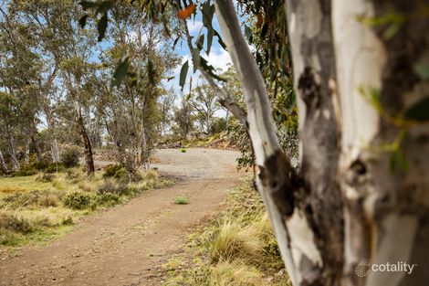 117 Jones Rd, Miena, TAS 7030