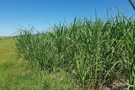 8 Pacific Tce, East Ballina, NSW 2478