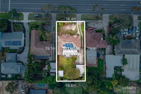 Property photo of 217 Canterbury Road Heathmont VIC 3135