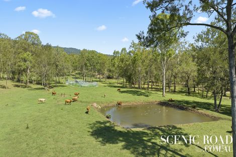 498 Mundoolun Connection Rd, Boyland, QLD 4275