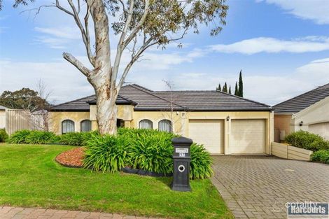 Property photo of 17 Fergusson Avenue Craigburn Farm SA 5051