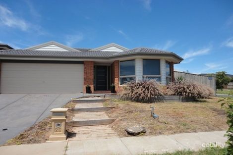 25 Daffodil Way, Point Cook, VIC 3030