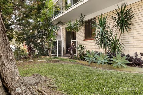 Property photo of 2/82-86 Oliver Street Freshwater NSW 2096