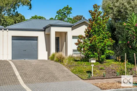 Property photo of 21B Barnett Avenue St Marys SA 5042