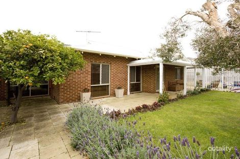 248b Flamborough St, Doubleview, WA 6018