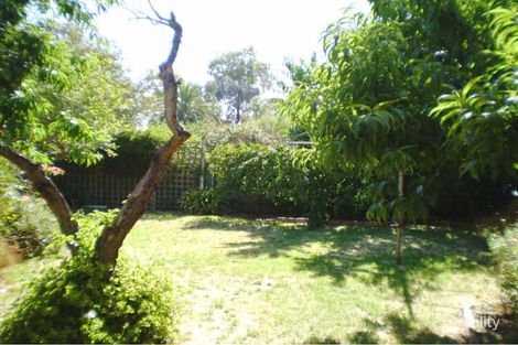 Property photo of 3 Pam Street Payneham South SA 5070