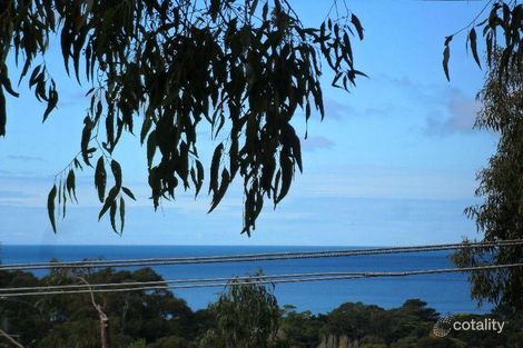 Property photo of 11 Austin Court Lorne VIC 3232