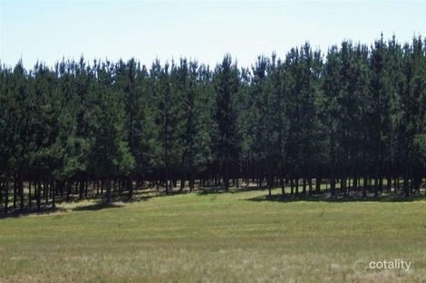 200 Lennons Lane, Landsborough, VIC 3384