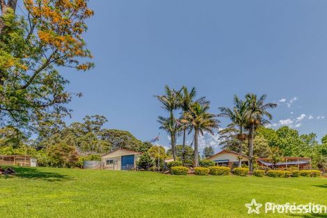 Property photo of 55-57 Benowa Street Tamborine Mountain QLD 4272