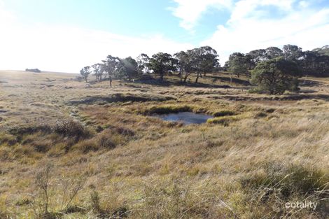 208 Piggery Rd, Red Range, NSW 2370