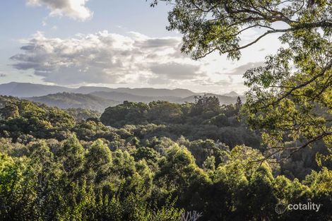 Property photo of 16 Anconia Avenue Tweed Heads West NSW 2485