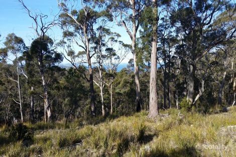 2534 Wielangta Rd, Orford, TAS 7190