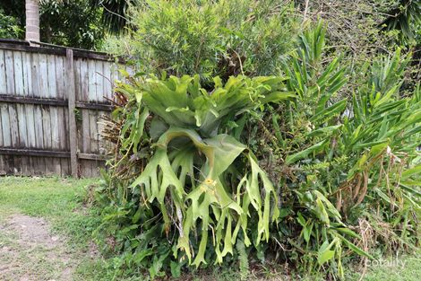 Property photo of 7 Low Street Eumundi QLD 4562