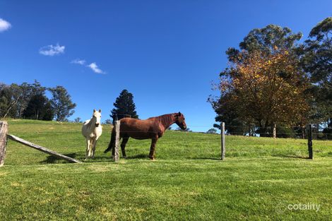 Property photo of 1231 Tyringham Road Bostobrick NSW 2453