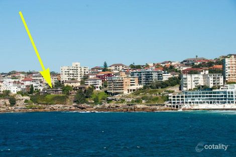 Property photo of 23 Wilga Street Bondi NSW 2026