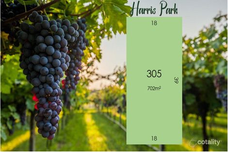 Property photo of 25 Harris Road Angle Vale SA 5117