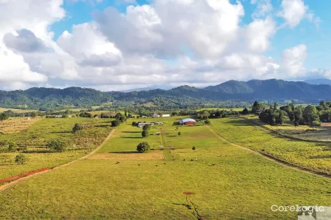 Property photo of 310 Donkin Road Utchee Creek QLD 4871