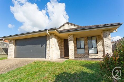 91 Westminster Cres, Raceview, QLD 4305