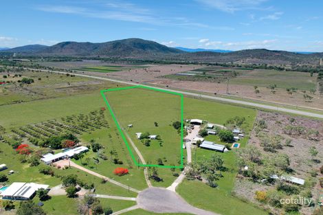 7 Hannon Ct, Alligator Creek, QLD 4816