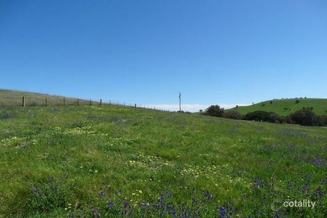 1600 Murray River Rd, Talgarno, VIC 3691