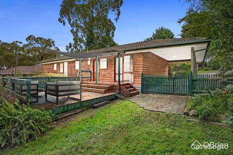 Property photo of 11 Elder Grove Boronia VIC 3155